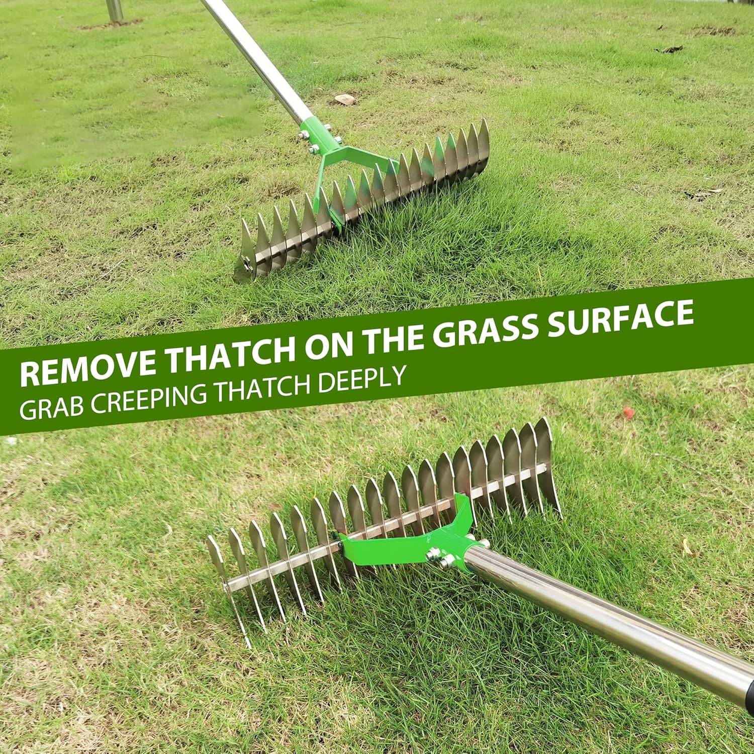 Lawn Thatcher Rake: image 4