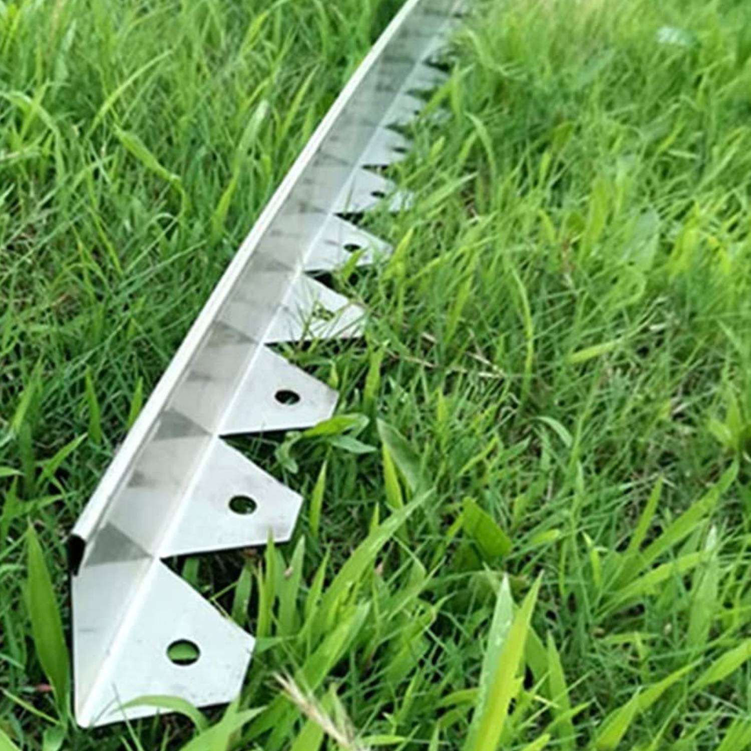 Stainless Steel Landscape Edging (50mm Face Height (per m)): image 6